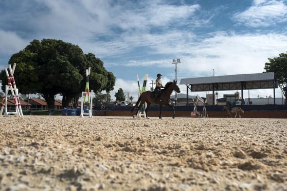 Areia de Pista de Hipismo